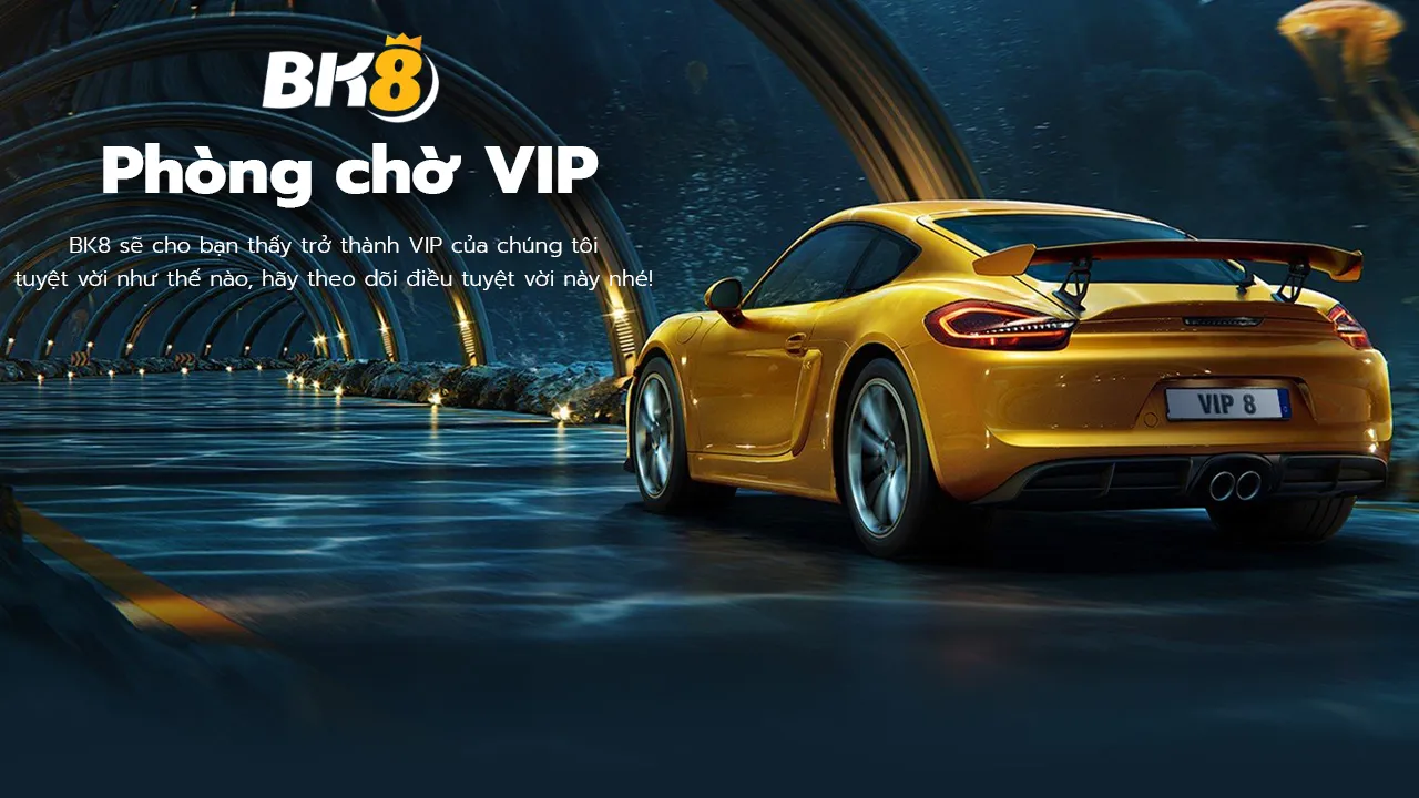VIP BK8 - Trải nghiệm chương trình dành cho thành viên VIP